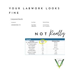 Labwork Review