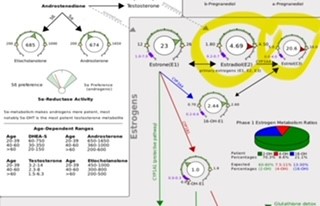 Poor Estrogen Clearance/Metabolism